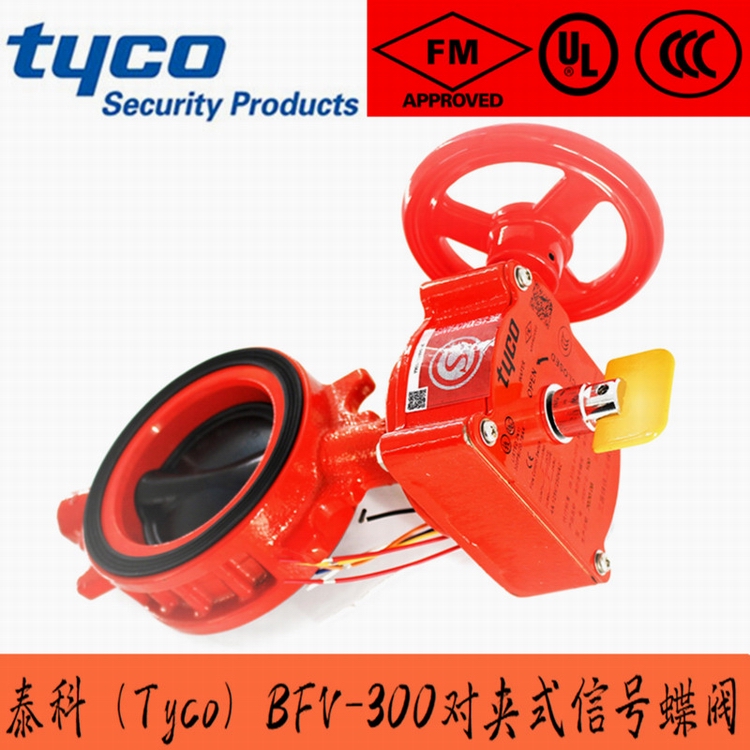 BFV-300��̖(h��o)���y1.jpg
